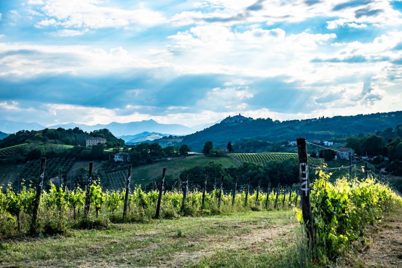 Recchi Franceschini Bike Hotel Last - Minute - Availability Montalto delle Marche Exteriör bild