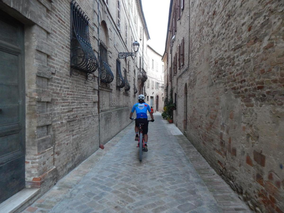 Recchi Franceschini Bike Hotel Last - Minute - Availability Montalto delle Marche Exteriör bild