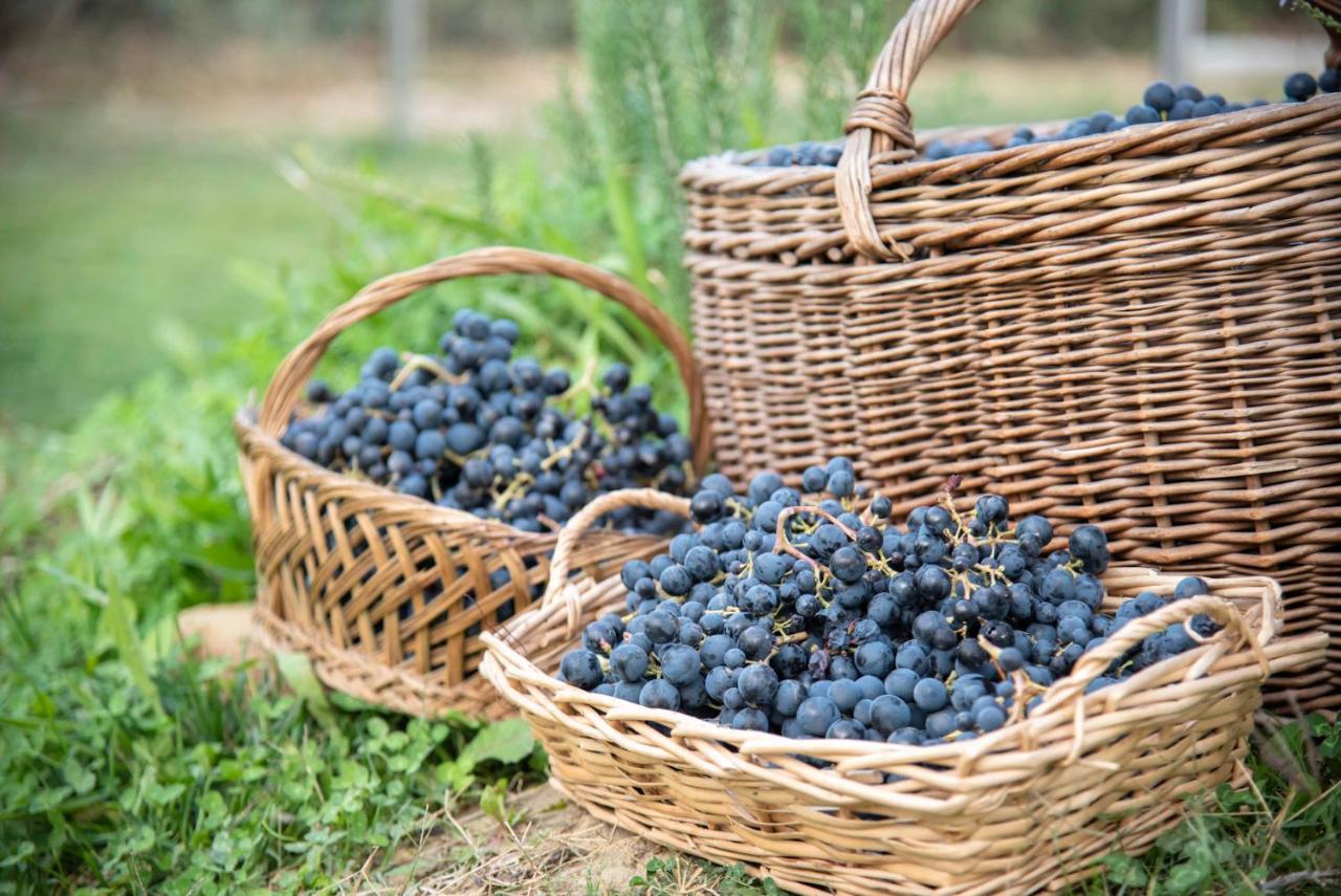Recchi Franceschini Bike Hotel Last - Minute - Availability Montalto delle Marche Exteriör bild