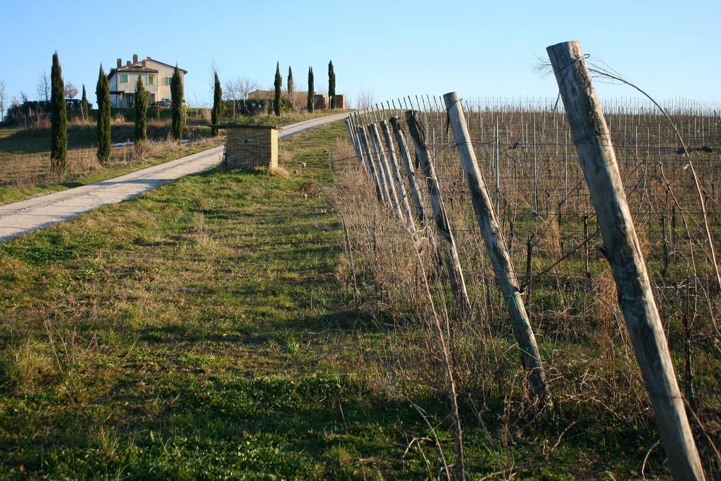 Recchi Franceschini Bike Hotel Last - Minute - Availability Montalto delle Marche Exteriör bild