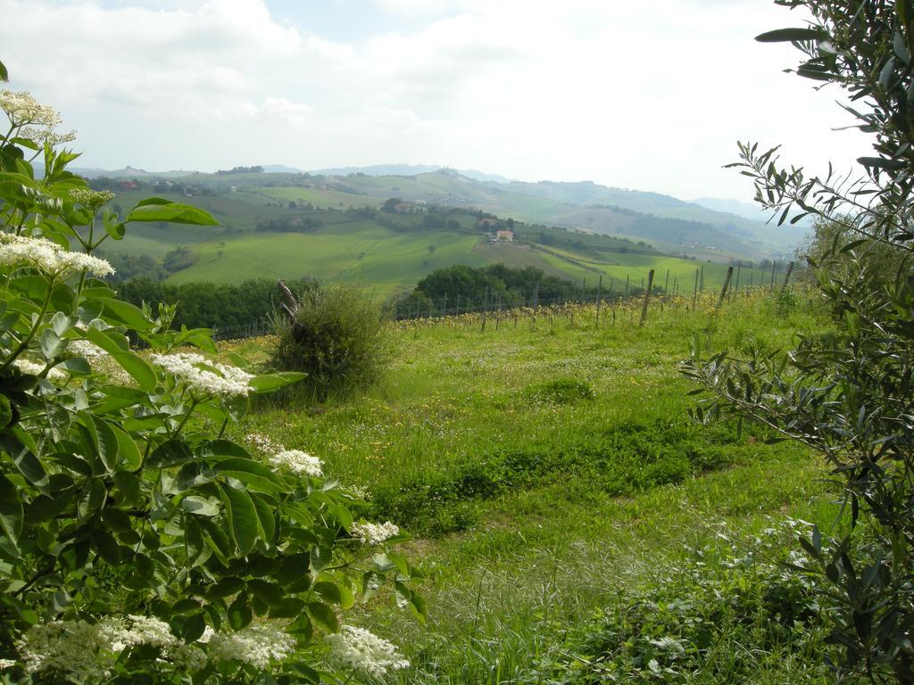 Recchi Franceschini Bike Hotel Last - Minute - Availability Montalto delle Marche Exteriör bild