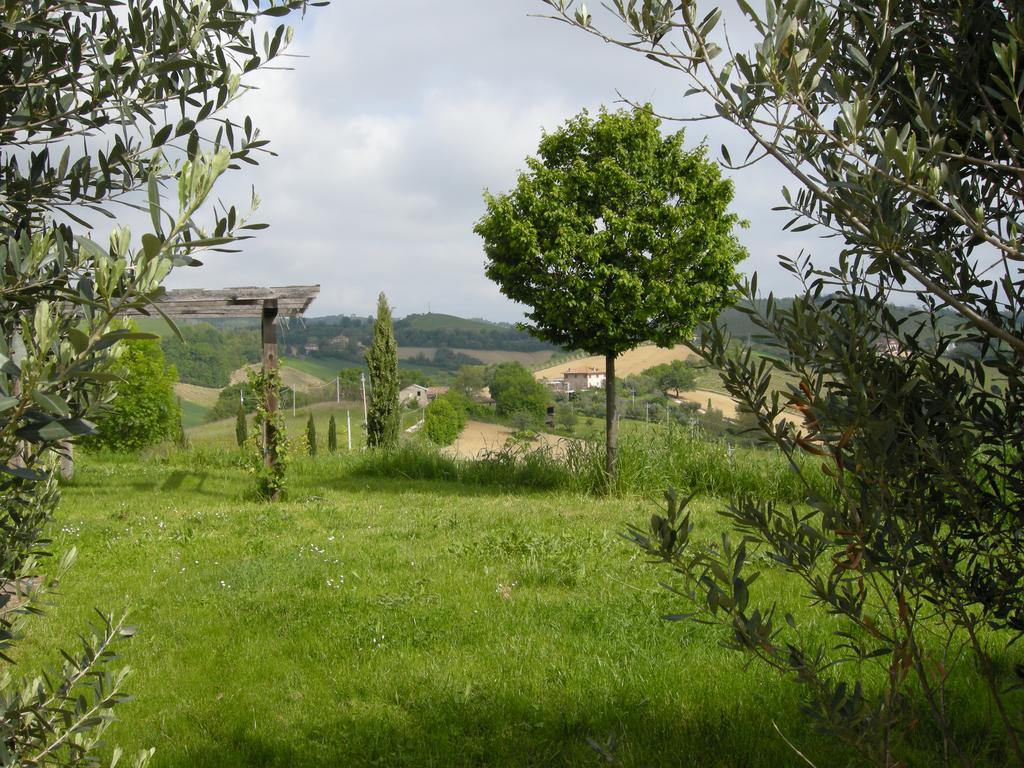 Recchi Franceschini Bike Hotel Last - Minute - Availability Montalto delle Marche Exteriör bild